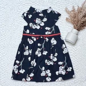 Janie and Jack dress size 2T